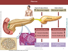 Diapositivo26