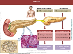 Diapositivo26