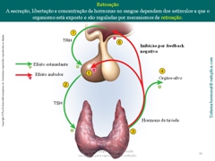 Diapositivo38