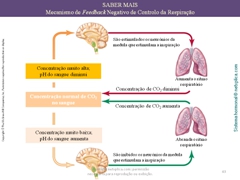 Diapositivo43