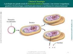 Diapositivo52