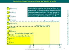 Diapositivo81