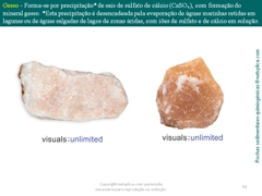 Diapositivo54