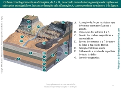 Diapositivo77