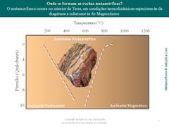 Diapositivo7